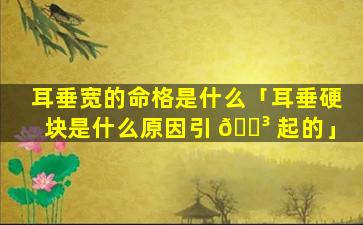 耳垂宽的命格是什么「耳垂硬块是什么原因引 🌳 起的」